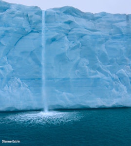 Iceberg Waterfall© Dianne Estrin