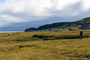 Reindeer and Traveler© Isaac Ho