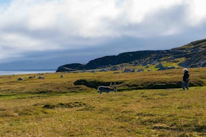 Reindeer and Traveler© Isaac Ho