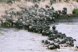 Great Migration