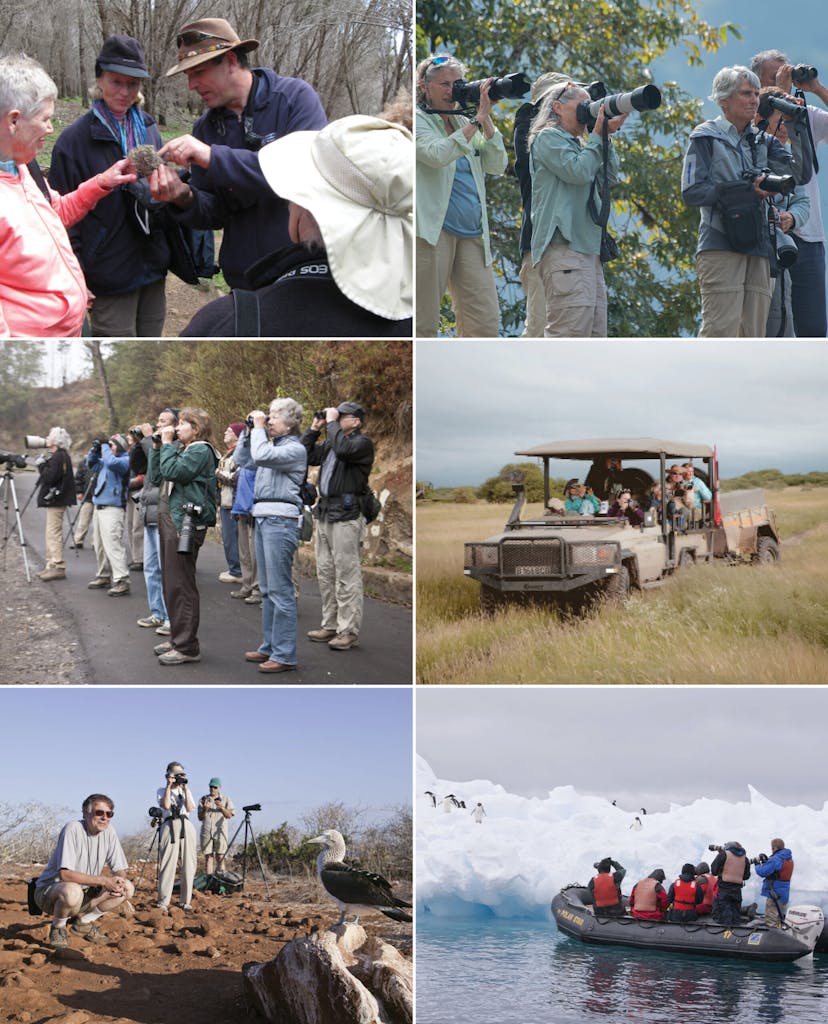 Cheesemans' Ecology Safaris