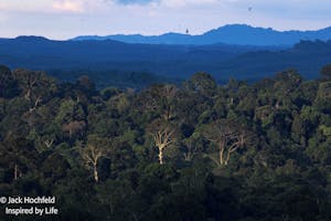 Landscape© Jack Hochfeld