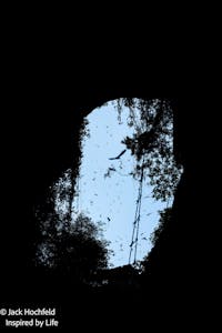 Landscape© Jack Hochfeld