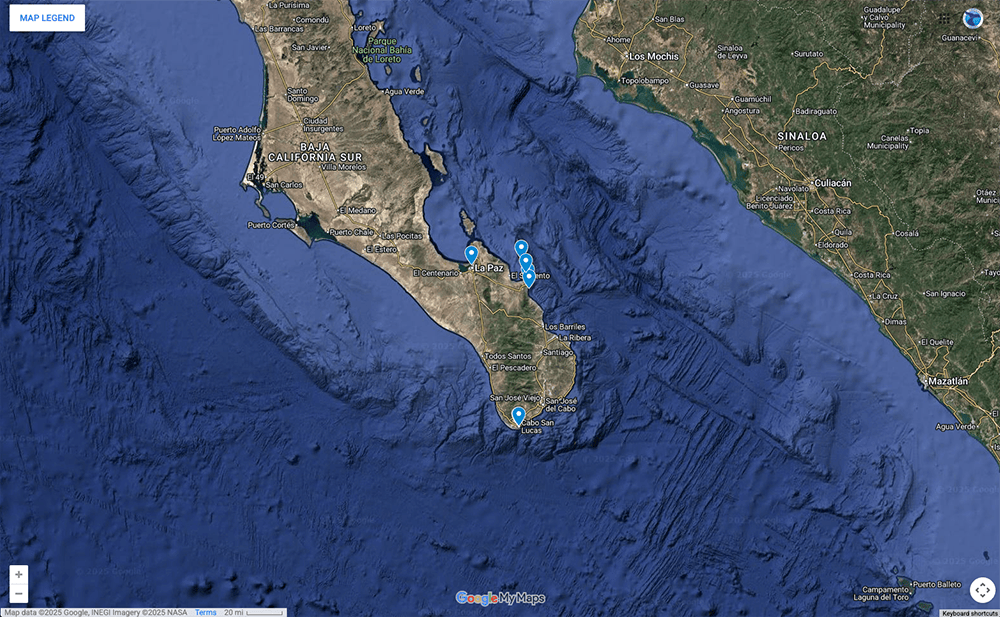 Trip Map – Yellowstone National Park