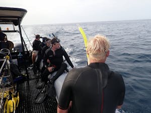 Tender with Guests© Shane Anderson