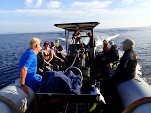 Tender with Guests© Shane Anderson