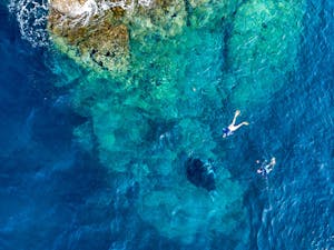 Aerial drone view of snorkelers with huge oceanic manta rays