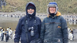 King Penguins on South Georgia beach with snowy peaks in background – Antarctica 2027 expedition