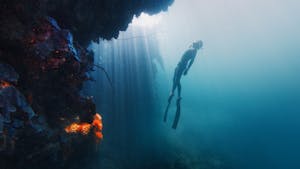 Snorkeler Raja Ampat