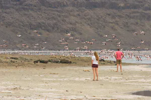 Shompole Wilderness - Lake with flamingos© Shompole