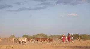 Shompole Wilderness - Walk to village© Shompole