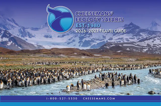 Cheesemans' Ecology Safaris Brochure Cover