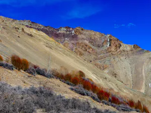 LandscapeMark Gibson