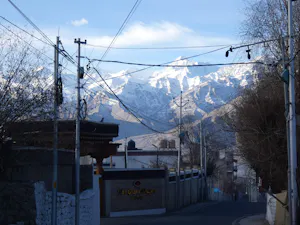 VillageCatherine Birt